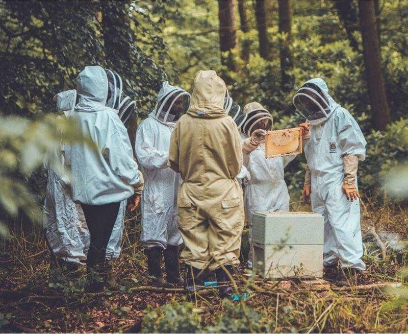 Introduction to Beekeeping